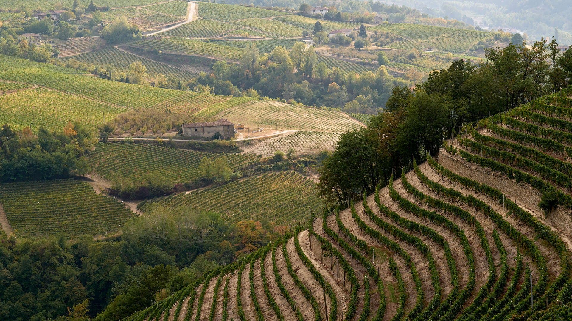 Cooperativa Vallebelbo territorio panoramica